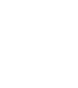 BiOrbic_icon_white