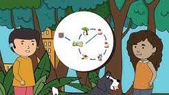 Organic Magic: Bioeconomy Explorers