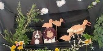 BioBeo - Answering the Curlew's Call - The Puppet Show