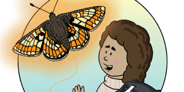 beo-raja-butterfly-effect-img